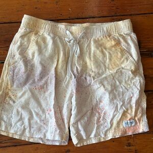 Banks Journal “Paint Splatter” shorts